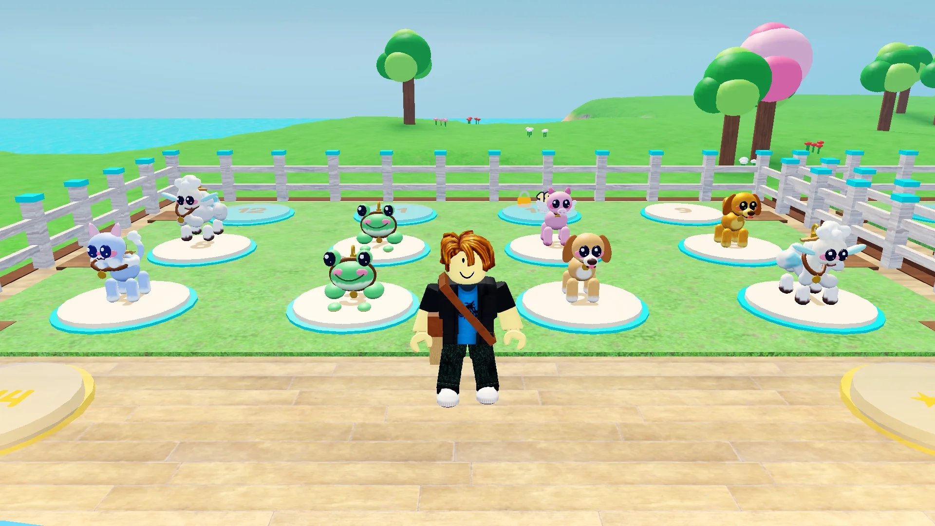 A collection of pets at a PetDrop depot